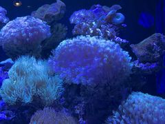 -海合安武汉极地海洋公园