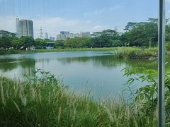 -福田红树林生态公园