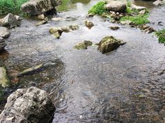 -贵阳市花溪国家城市湿地公园