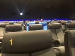 -奥斯卡升龙国际影城(RealD Cinema)