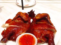 手撕烧鸡-稻香酒家·33年老字号·港式粤菜(富邦中心店)