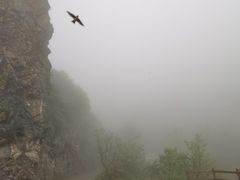 -石台牯牛降景区