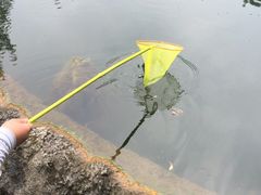 -成都市活水公园