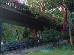 -玉树公园