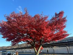 -轻井泽王子购物广场