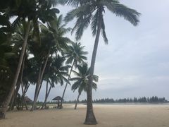 -东郊椰林