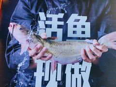 -老板恋上鱼(恒隆广场店)