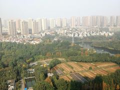 -重庆彩云湖湿地公园