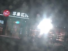 -苹果花园(桂林路店)