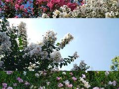 -杭州城北体育公园