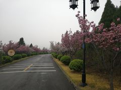 -青州市云门山风景区