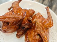 -鸽鸟轩(石岐店)