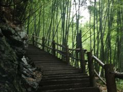 -藏龙百瀑风景区