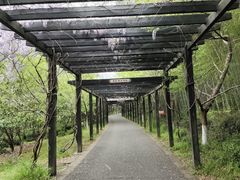 -九龙潭景区