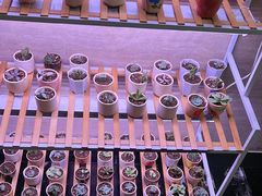 -富力希尔顿酒店·地阔自助餐厅