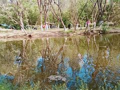 -长白岛森林公园