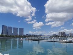 -五缘湾游艇帆船俱乐部