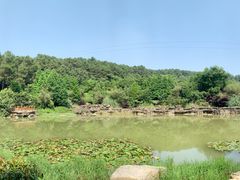 -铁山坪森林公园