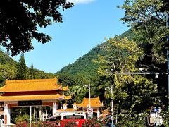 -深圳仙湖植物园