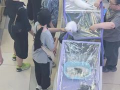 -鹏欣水游城