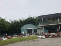 -东方绿舟景区