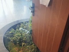 -江小渔鲜鱼火锅(西二道街店)