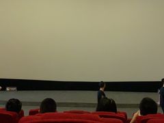 -保利国际影城(保利文化广场店)