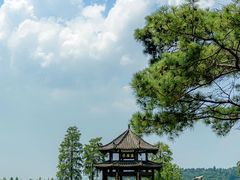 -东湖落雁景区