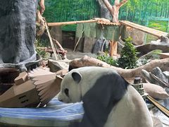 -灵玲国际马戏城