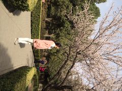 景山公园-景山公园
