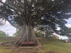-悉尼歌剧院