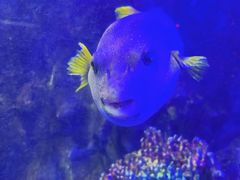 -太平洋海底世界