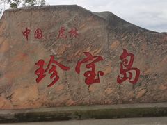 -珍宝岛