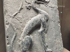 -敦煌市博物馆