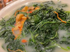 -龙悦湾酒家·八阵鱼生·渔人码头店