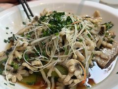 -三猫黑鱼花(南大店)