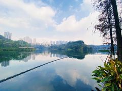 -重庆彩云湖湿地公园