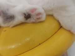 -永和大王(共和新路店)