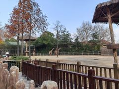 -上海野生动物园