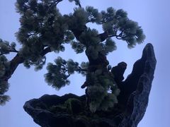 -滇铺子(欣都龙城店)