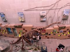 -陕西自然博物馆