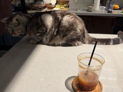 -25#COFFEE(古地石店)