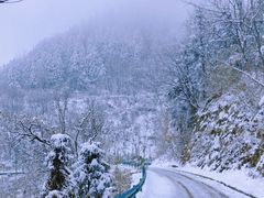 -安康凤凰山森林公园