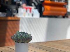 -Peet's 皮爷咖啡(陆家嘴中心店)