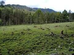 -硗碛藏寨·神木垒景区