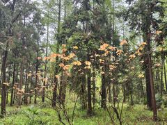 -上海怡沁园度假酒店