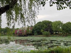 -无锡蠡湖国家湿地公园-蠡园
