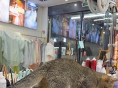 -汉仪华裳汉服旗袍·摄影写真馆(乌镇西栅店)