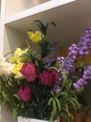 -摩瘦纤体订制减肥