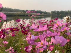 -东郊湿地公园